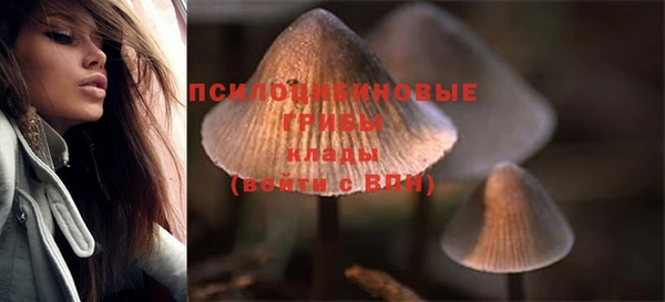 марки lsd Абаза